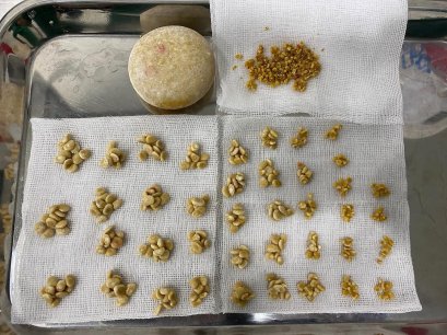 น้องหมีฉี่กะปริบกะปรอยค่ะคุณหมอ